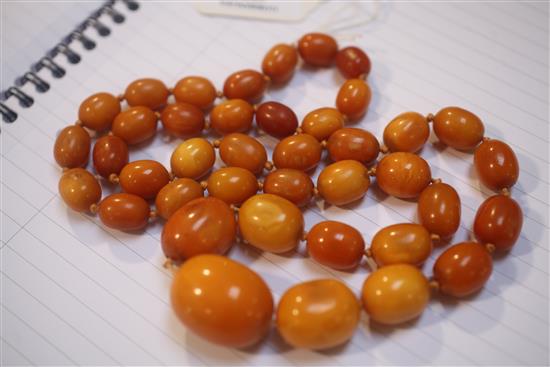A single strand graduated oval amber bead necklace, 82cm.